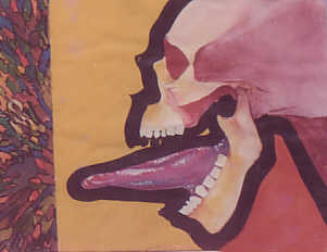 crâne langue