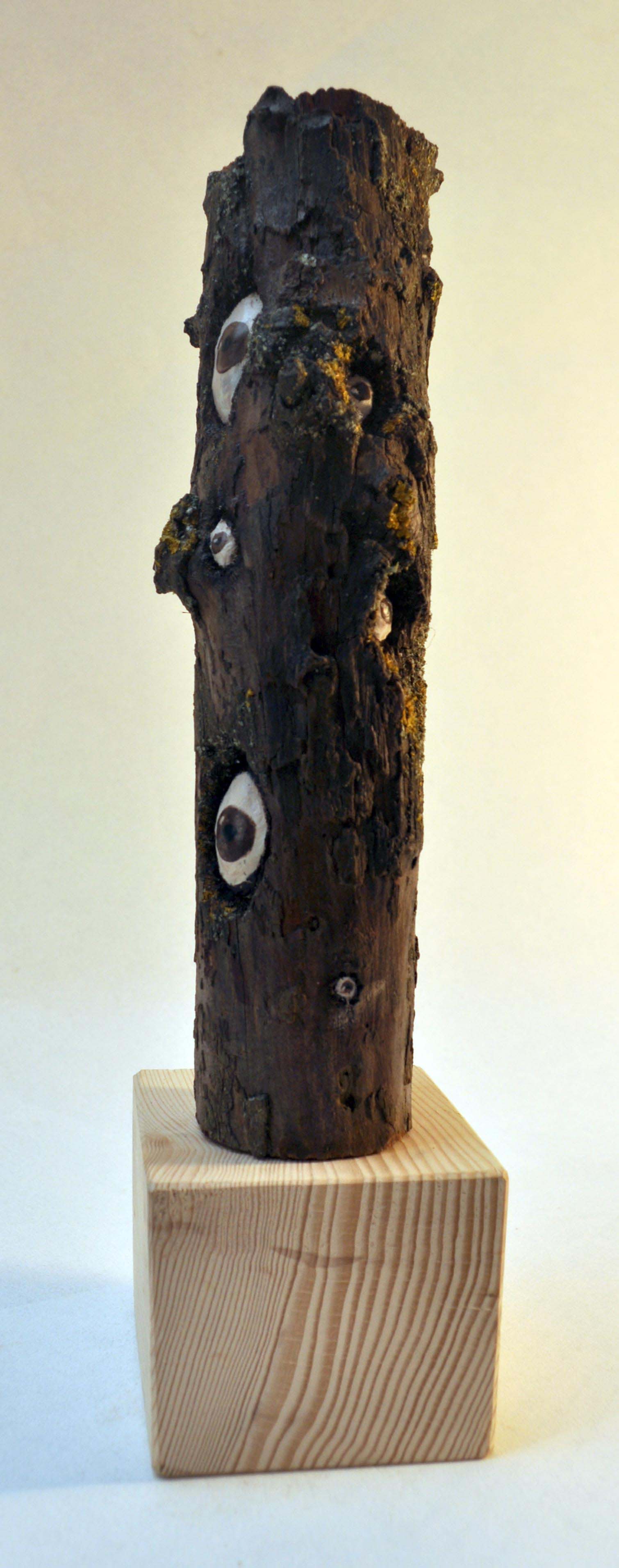 Un morceau d'arbre, deux petites branches tronquées. Dans les trous du bois, des yeux regardent au-dehors.