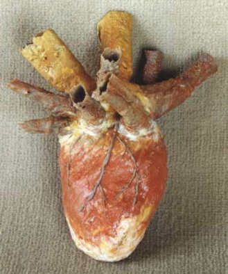coeur organe silicone