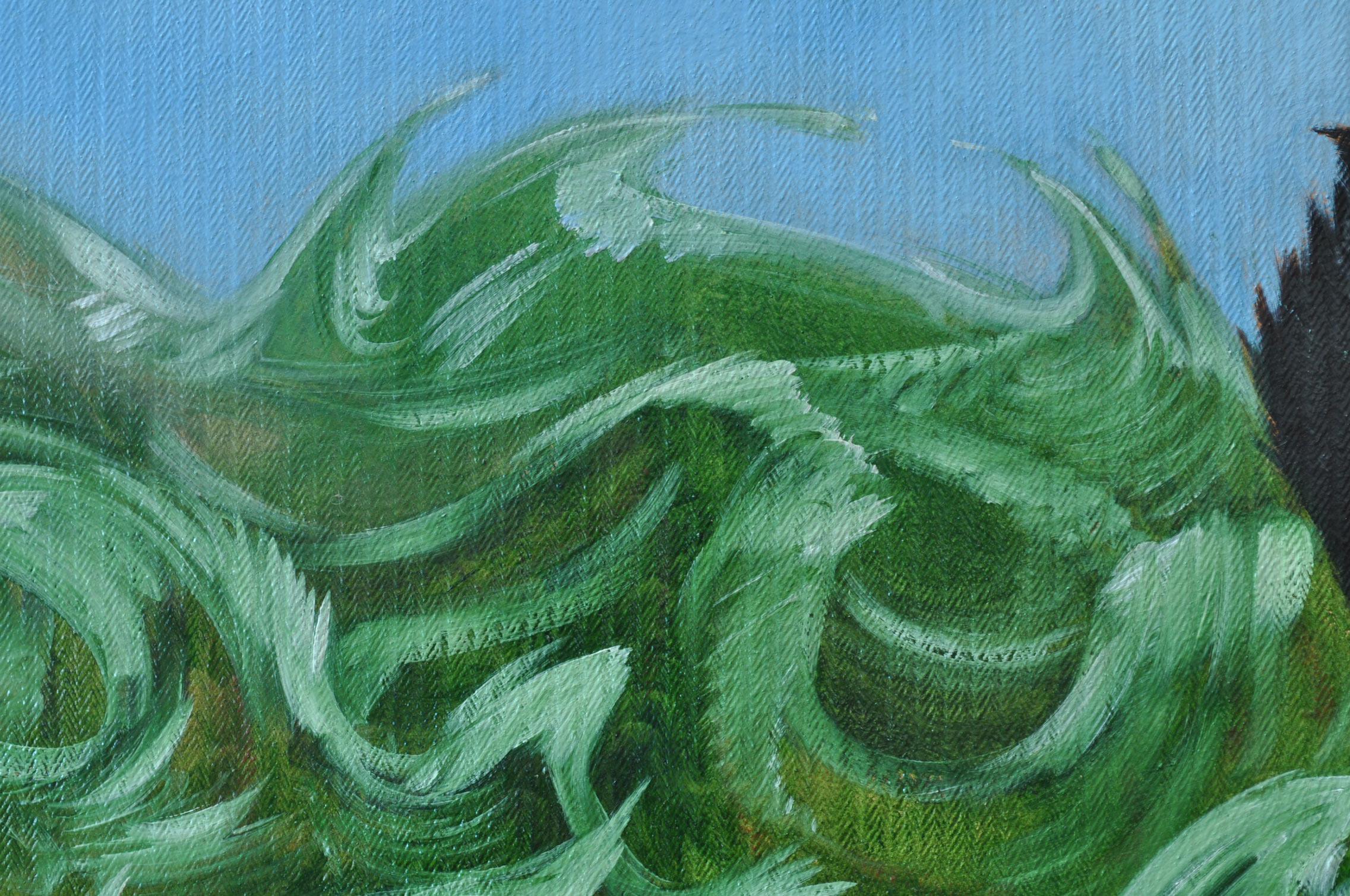 Détails des vagues, des gestes arrondis de blanc tiré dans un jus de vert ocre. Les vagues sont toutes différentes et se raccordent plus ou moins entre elles, à leur racines.