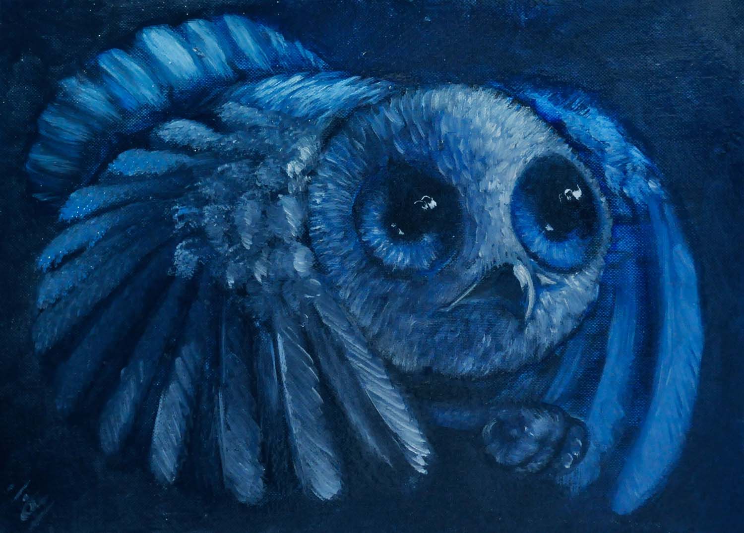 Une chouette bleue, en plein vol. Elle a de petites ailes rondes qui semblent l'envelopper et sa tête, circulaire est envahie par ses yeux immenses et brillants.