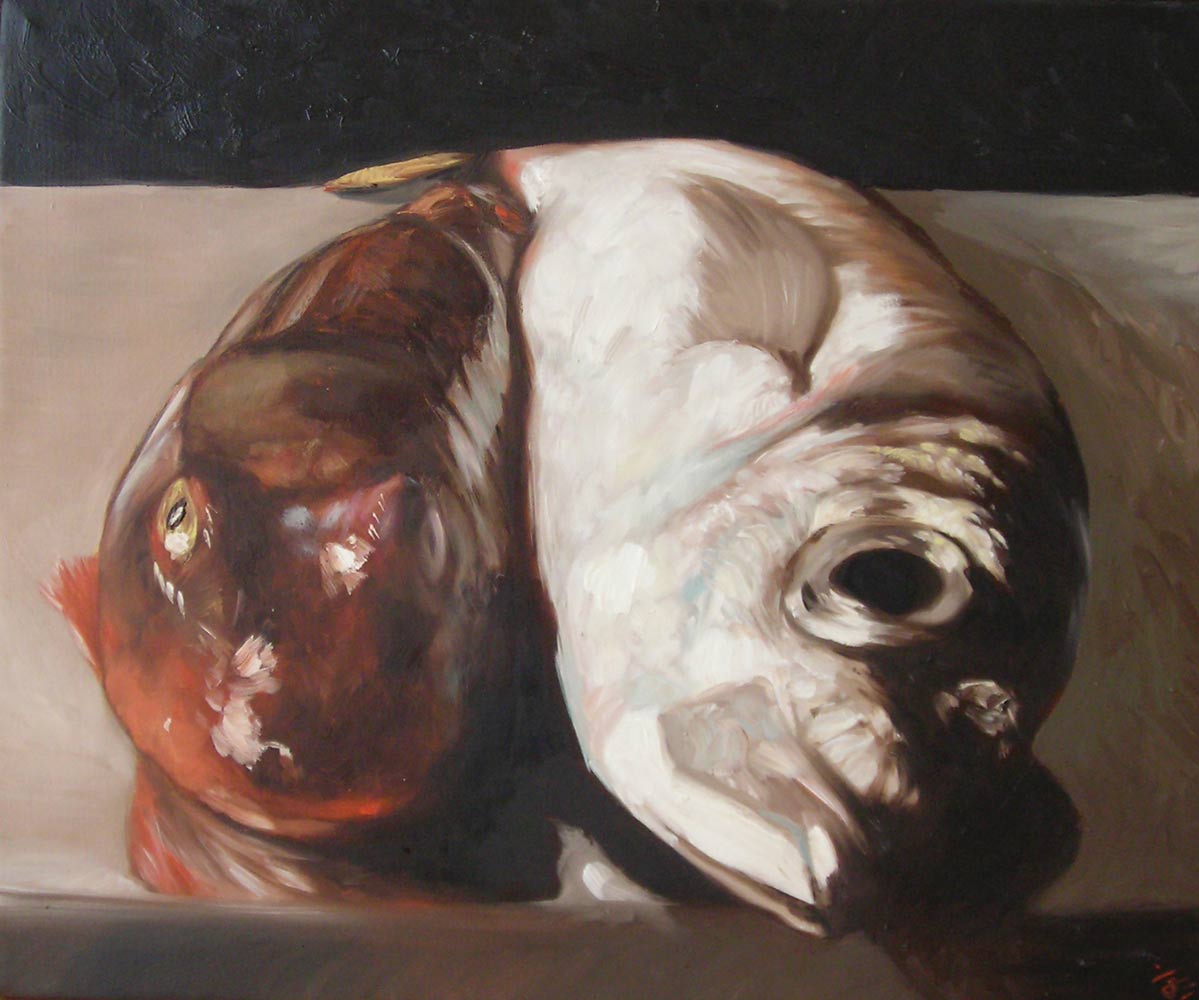 Un rouget et un thon posés sur une surface métallique, côte à côte.